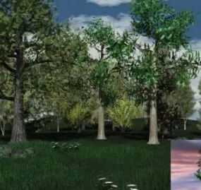 Trees  Collection 3d model