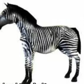 Zebra 3d model
