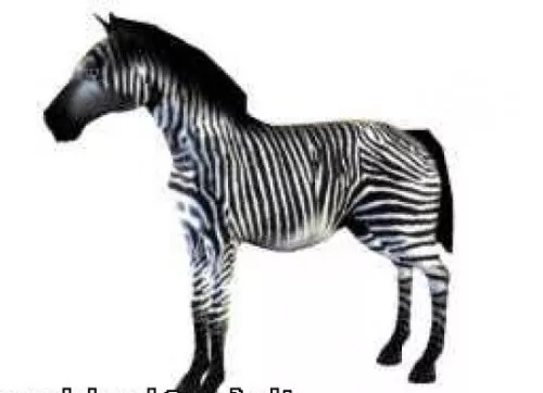 Zebra 3d model Zebra 3d model