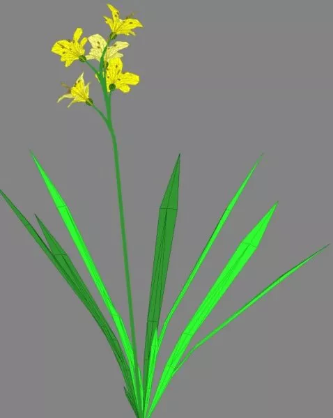 Simple Lowpoly Flower 3d model Simple Lowpoly Flower 3d model