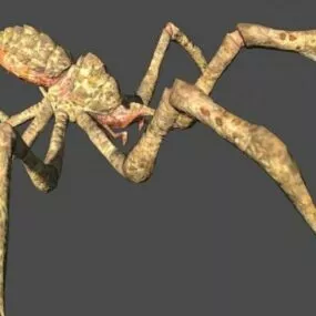 Animal Parasite 3d model