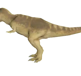 T Rex Dinosaur 3d model