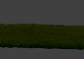 Grass Field 3d model