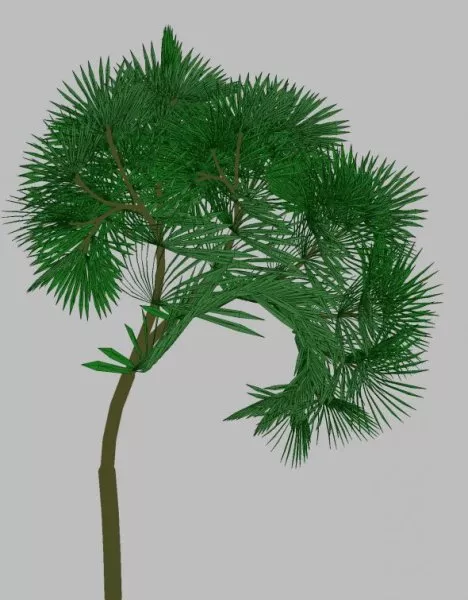 Tree 01 3d model Tree 01 3d model