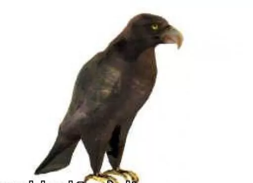 Eagle Sculpture Statue 3d model