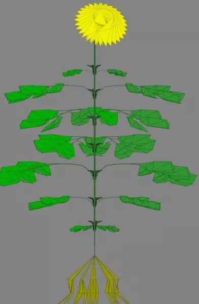 Tall Flower Tree 3d model Tall Flower Tree 3d model