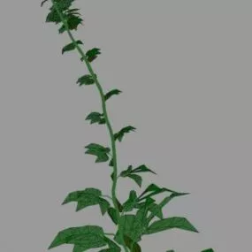 Flower Climb 3d model