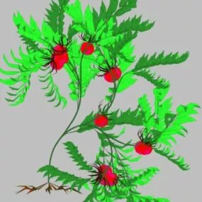 Plant 06 3d model