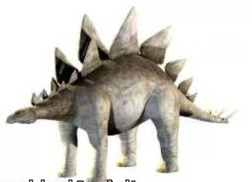 Stegosaurus Dinosaur 3d model Stegosaurus Dinosaur 3d model