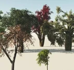 Various Trees 3d model