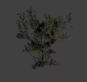 Tree Bushes 3d model