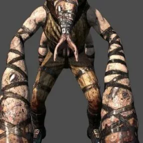 Siam 3d model