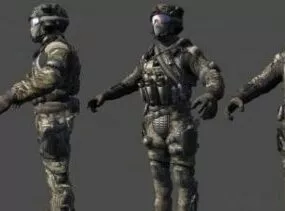 Usa Seal 3d model