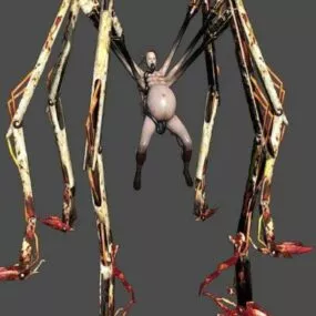 Amnion 3d model