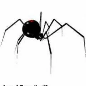 Black Widow 3d model