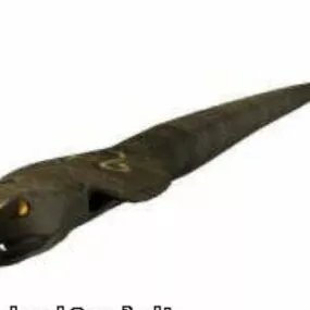 Cobra Animal 3d model