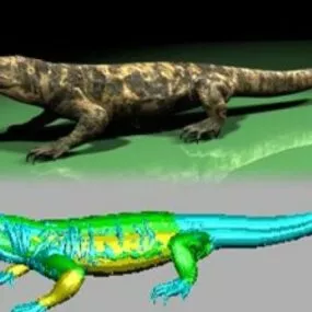 Lizard  ANimal 3d model