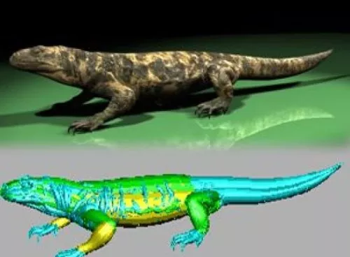 Colorful Lizard 3d model