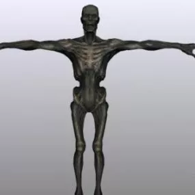 Draug Male Rigged 3d model