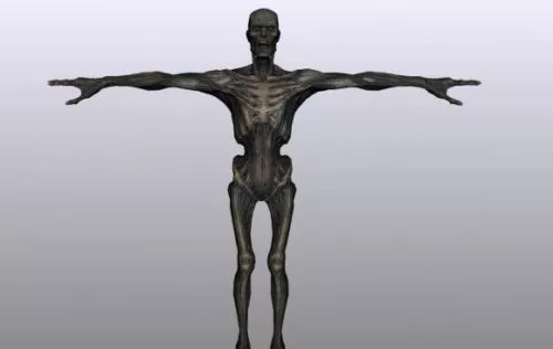 Draug Male Rigged 3d model Draug Male Rigged 3d model