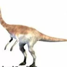 Gallimim Dinosaur 3d model