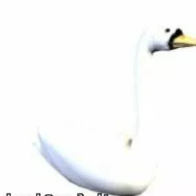 Swan  Free 3d model
