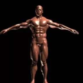 Bodybuilder 3d model