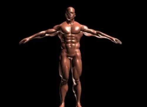 Bodybuilder 3d model Bodybuilder 3d model