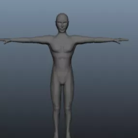 Lowpoly Basic Human Body 3d model