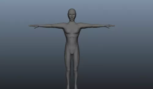 Lowpoly Basic Human Body 3d model Lowpoly Basic Human Body 3d model
