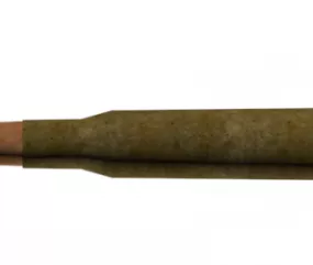 Bullet 3d model