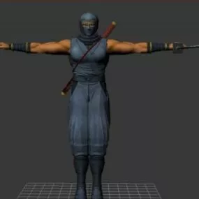 Ryu Ninja Character  Free 3d model