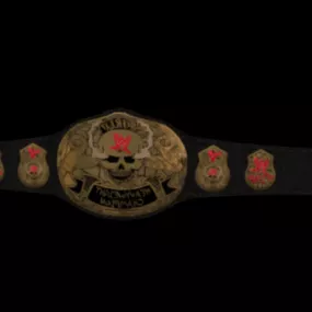 Wwe Smoking Skull Championship 3d model