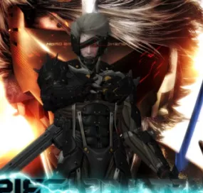 Raiden 3d model