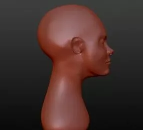 Sculpture Female Head 3d model