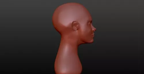 Eyepatch On Girl Head 3d model