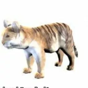 Tiger 3d model
