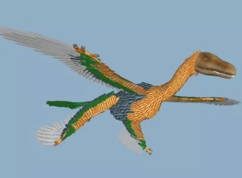 Microraptor Animal 3d model Microraptor Animal 3d model
