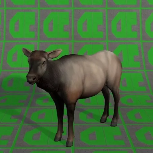 Wild Elk 3d model Wild Elk 3d model