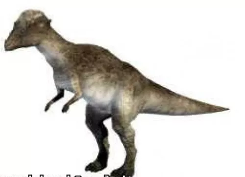 Brachylophosaurus Dinosaur 3d model
