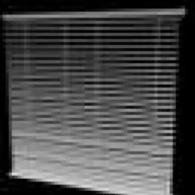 House Blind 3d model