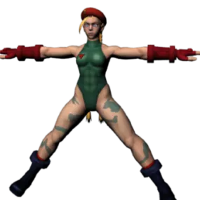 Cammy Ssfiv 3d model