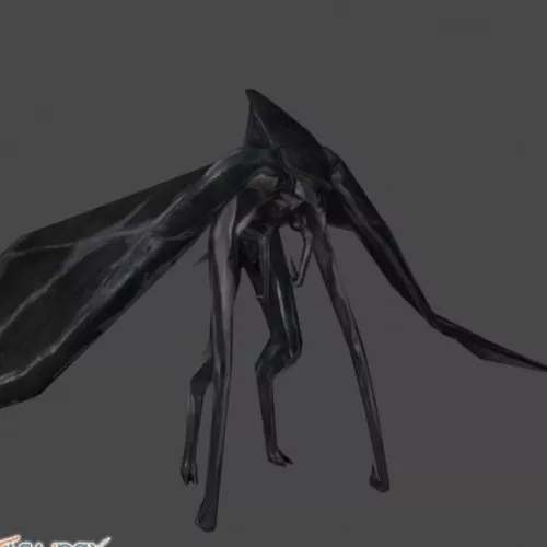 Hokmuto 3d model Hokmuto 3d model