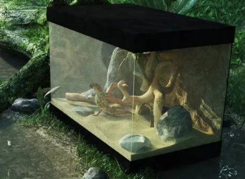 Reptile 3d model Reptile 3d model