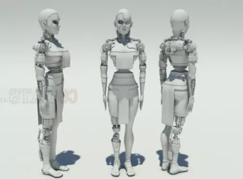 Cyborg Warrior 3d model