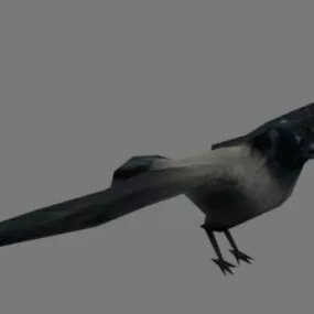 Crow Animal 3d model