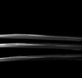 Wolverine Claws 3d model
