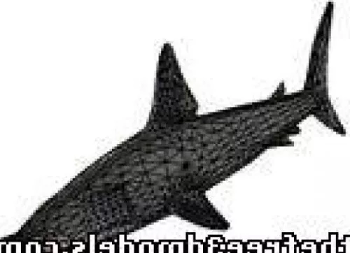 Ocean Shark Realistic 3d model