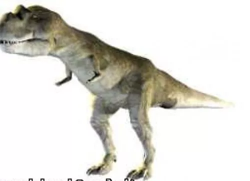Allosaurus Dinosaur 3d model Allosaurus Dinosaur 3d model