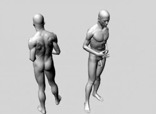 Male 3d model Male 3d model